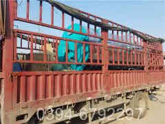 食品燃气锅炉