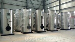 燃生物质导热油炉