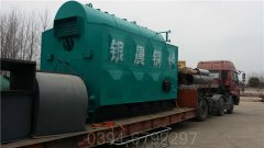 燃煤有机热载体炉