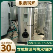 WNS10-1.25-QY天然气蒸汽锅炉万搏官方网站_万搏wanbo(中国)
