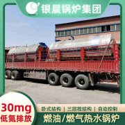 WNS0.3-0.7-QY低氮冷凝蒸汽锅炉万搏官方网站_万搏wanbo(中国)
