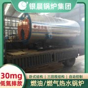 12吨低氮冷凝蒸汽锅炉万搏官方网站_万搏wanbo(中国)
