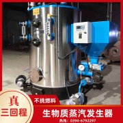 一燃气锅炉