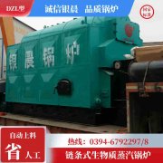 12吨低氮冷凝锅炉