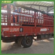蒸汽锅炉天然气0.2吨同行领先技术