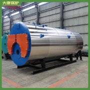 新疆60万大卡低氮真空锅炉