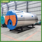 广东0.7t低氮导热油炉