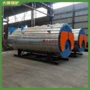 船用蒸汽锅炉WNS型高温灭菌使用