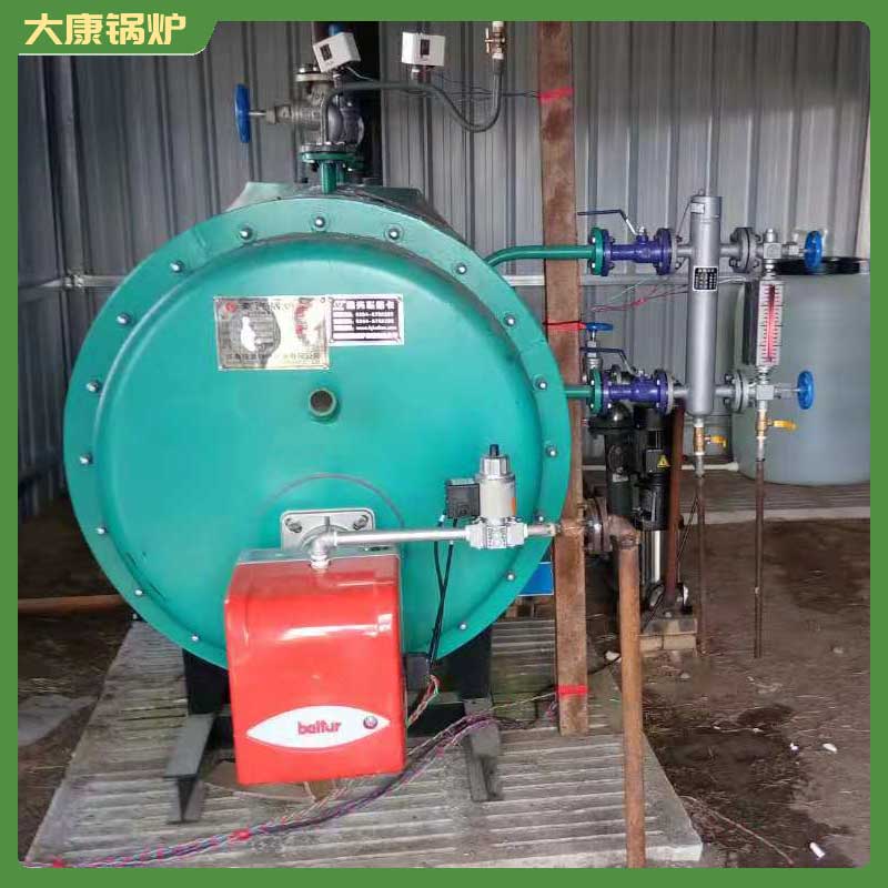 锅炉生物质锅炉燃烧机河南大康锅炉有限公司0.2t的锅炉